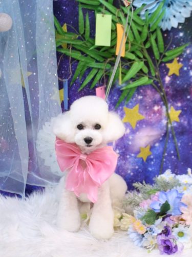 20250711ゆわちゃん